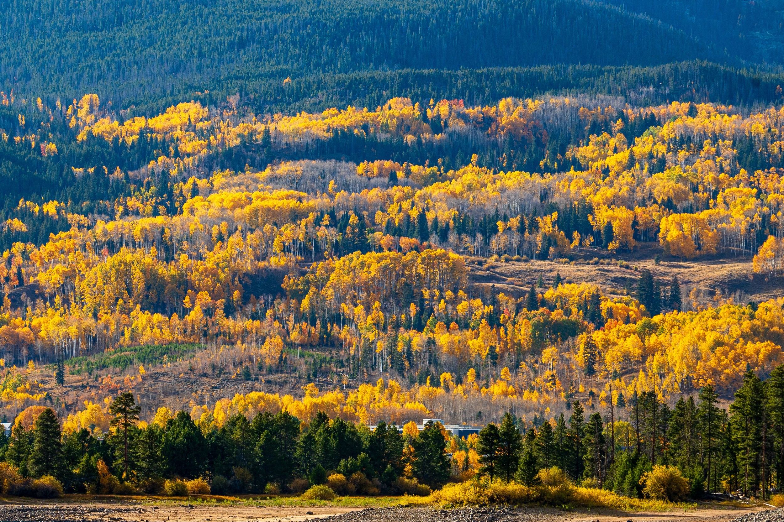 USA 2024 5 Sterne 136